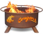 (image for) Collegiate Fire Pits