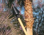 (image for) Automated Remote Control Black Cone Head Tiki with Bamboo Pole